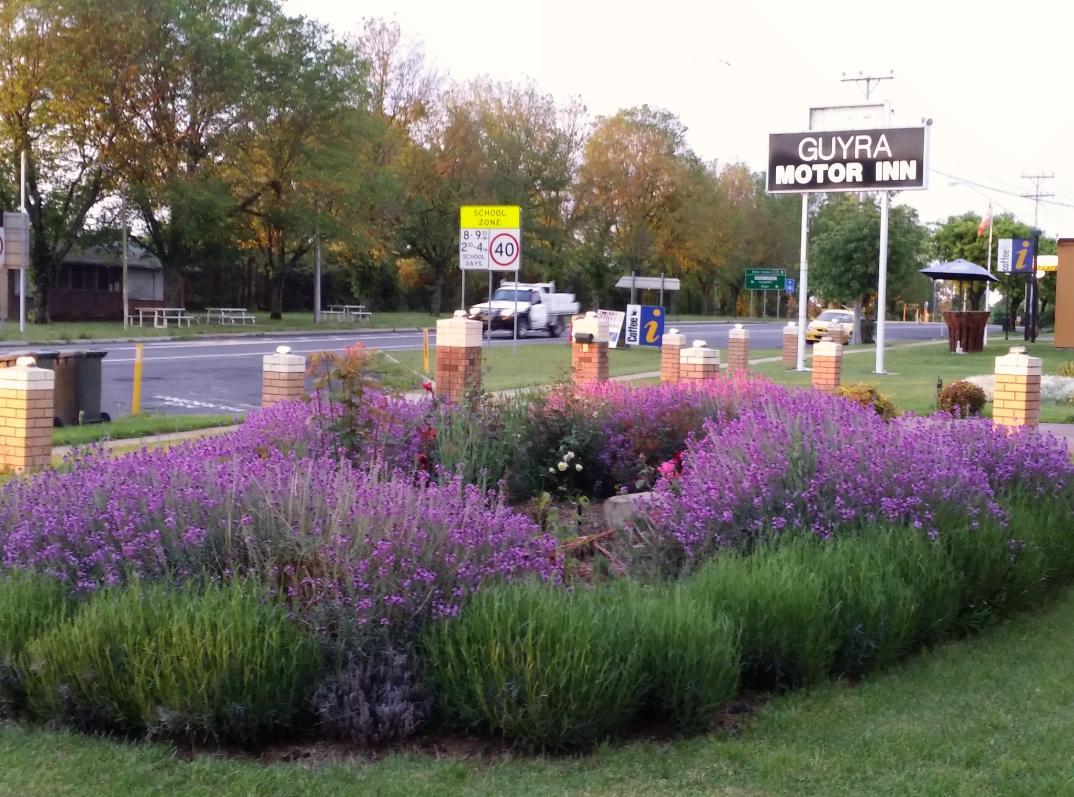 Guyra Motor Inn Esterno foto